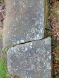 image of grave number 219816